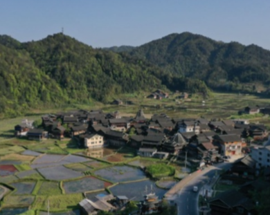 因地制宜发展产业 湖南盐业集团绘就乡村振兴新篇章