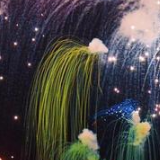 解读丨湖南烟花禁放限放背后的科学治理