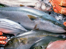 湖南水产品市场购销活跃，民生商品价格波动较小