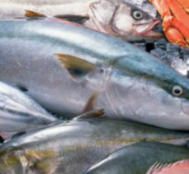 湖南水产品市场购销活跃,民生商品价格波动较小