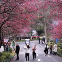 多项指标降幅显著!2026湖南春节期间空气质量同比明显改善