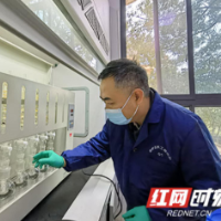 “油茶博士”陈永忠：四十年深耕油茶路 以科技为笔绘就乡村振兴答卷