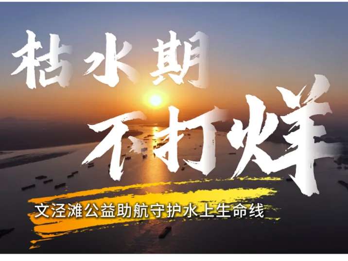 枯水值守不打烊 全力护航文泾滩