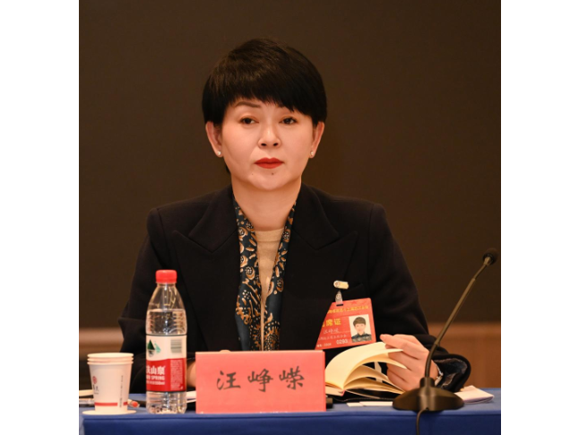 两会好声音｜汪峥嵘：做优“湘”品牌，让湘菜香飘四海