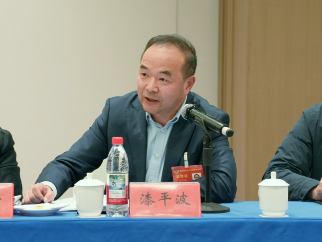 两会好声音丨漆平波：深化“股东式服务”，提振民营经济“强引擎”