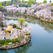 “湘”当美丽！2025年湖南国土绿化交出高质量答卷