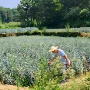 把“论文”写在泥土里 让乡村有“医”靠——记省中医药研究院驻隆回县建塘村乡村振兴工作队