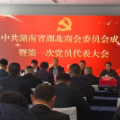 助推湘鄂经济发展 湖南省湖北商会党委成立