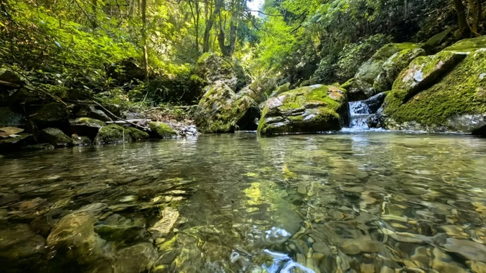 “水生态守护保”在湖南麻阳落地