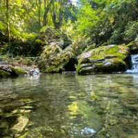 “水生态守护保”在湖南麻阳落地