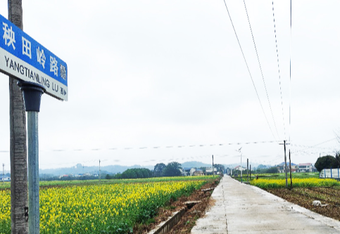 从“无名”陌路到“有名”归途 ——浏阳2025“乡村著名行动”绘就七镇新图景