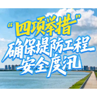 湖南水旱灾害防御工作经验交流（三）丨益阳市：“四项举措” 确保堤防工程安全度汛