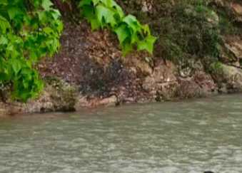 湖南各地多措并举强化森林防火工作 织密生态安全“防护网”