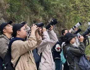 共记录14目41科103种鸟类！中南林业科技大学举办第十二届湖湘学子观鸟大赛