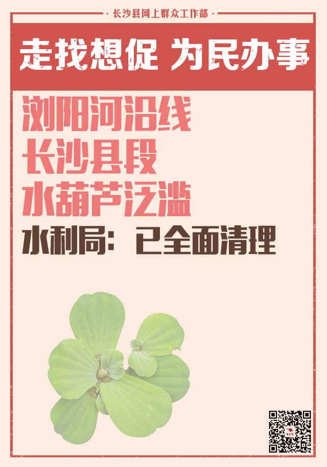 水葫芦篇.png 水葫芦篇.png