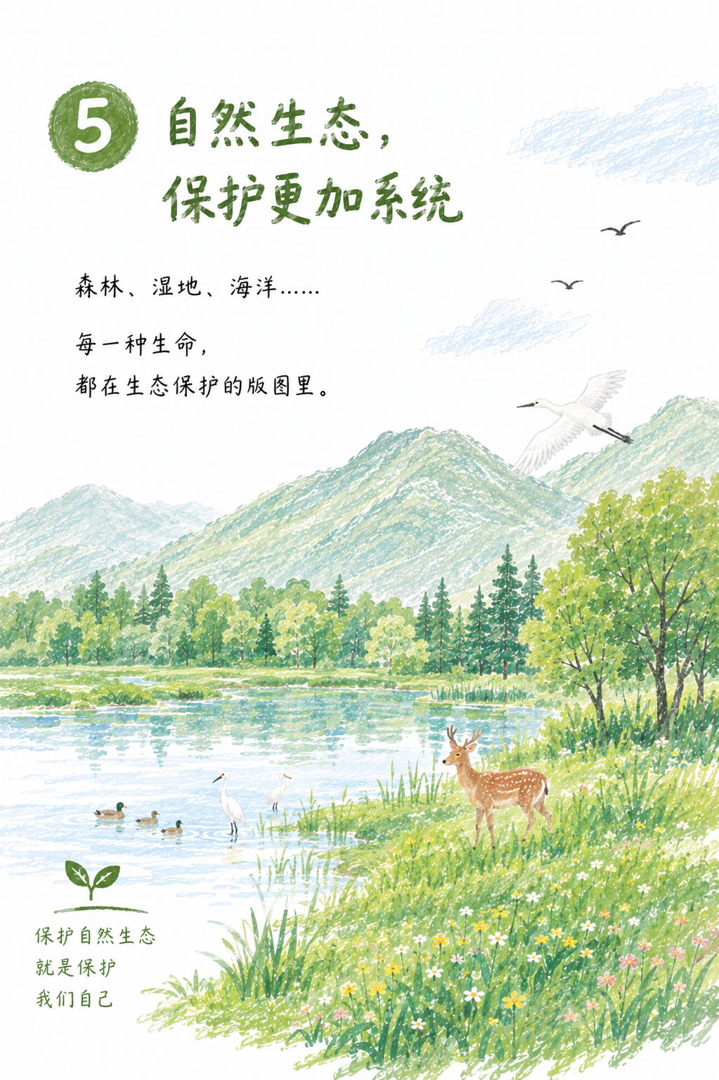 海报6.png 海报6.png