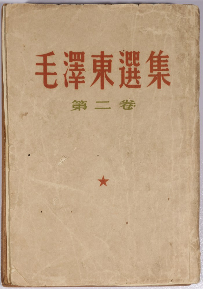 195.jpg