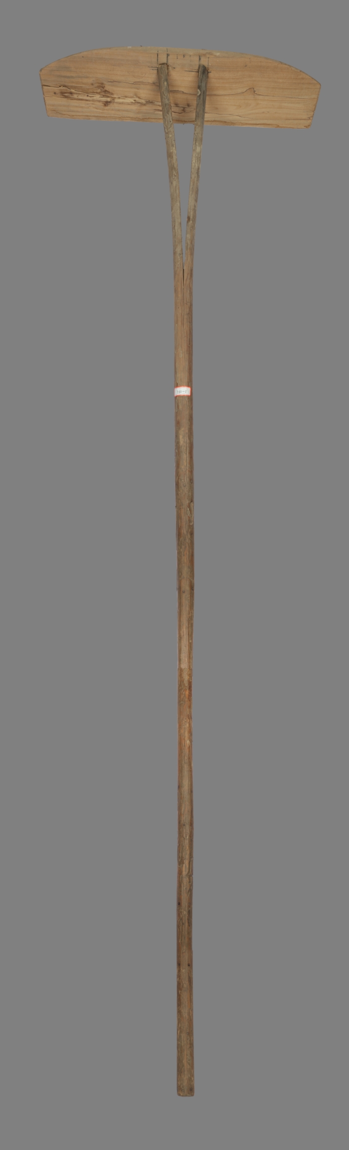 369.jpg