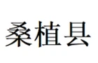 桑植县总工会为新就业形态劳动者开展免费体检服务