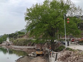 微信图片_20250416102450.jpg