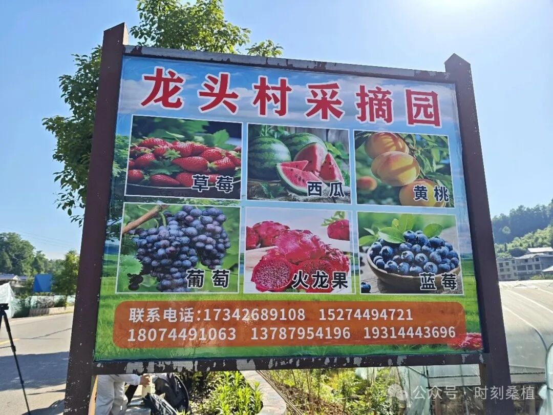 640 (9).jpeg 640 (9).jpeg