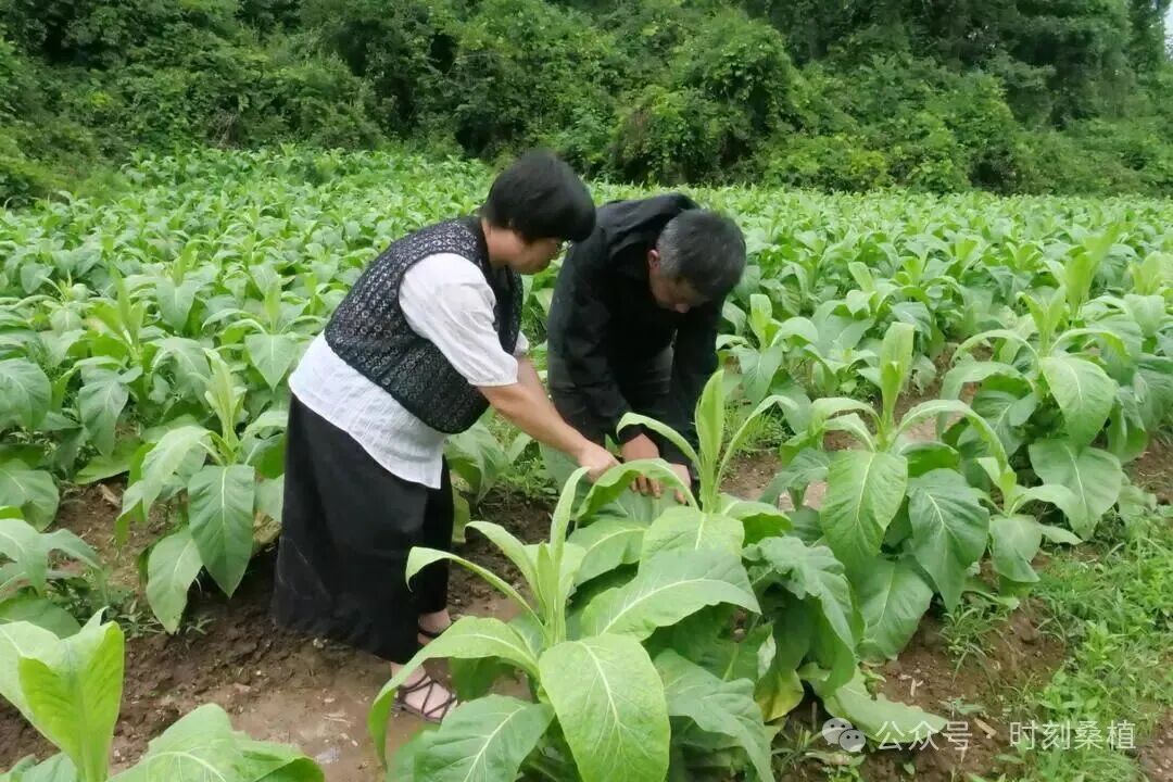 640 (11).jpeg 640 (11).jpeg