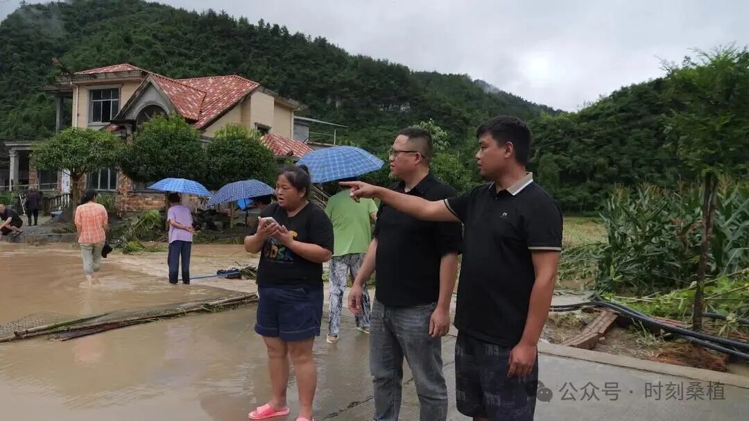 640 (22).jpeg 640 (22).jpeg