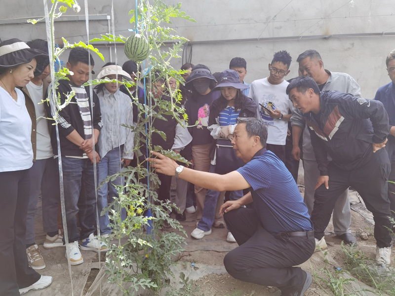 图为学员进行观摩学习。 (2)_副本.jpg