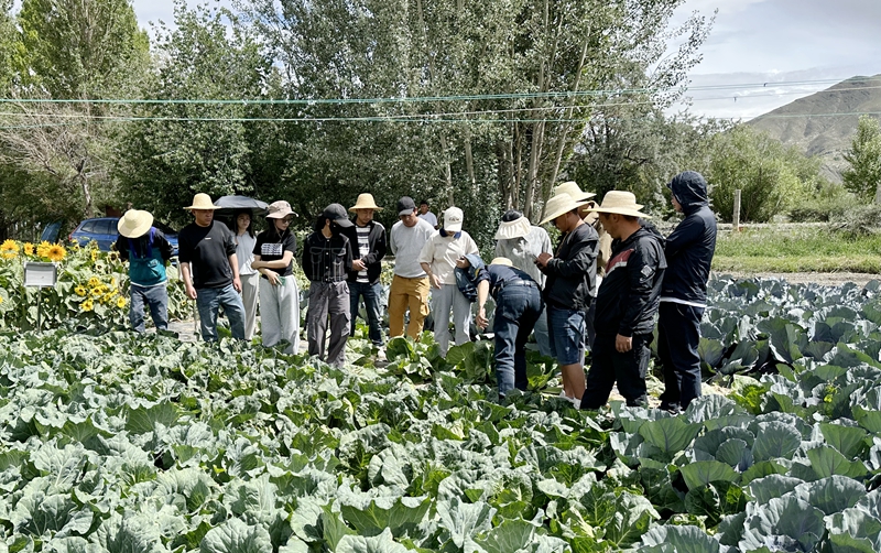 图为学员进行观摩学习。_副本.jpg