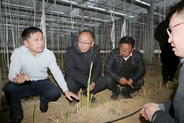 次仁平措一行在西藏绿之源现代有机农业公司调研_副本.jpg