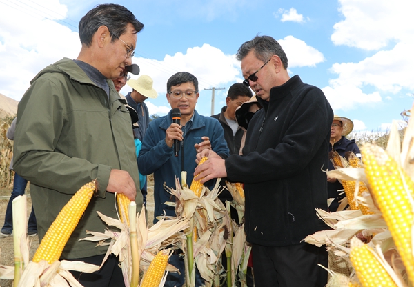 自治区农业农村厅厅长林木与副市长次仁到基地视察2_副本_副本.jpg