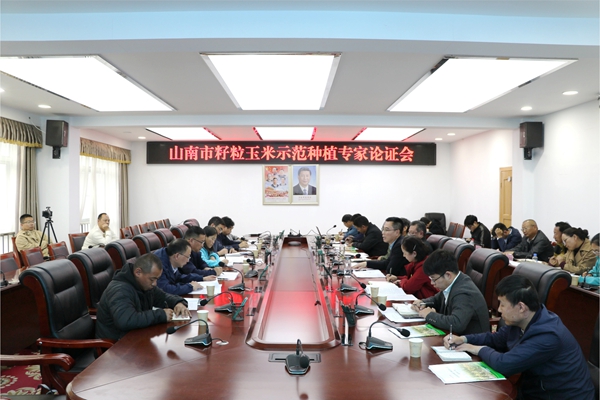 专家论证会议现场_副本.jpg