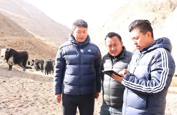 微信图片_20241220102645_副本.jpg