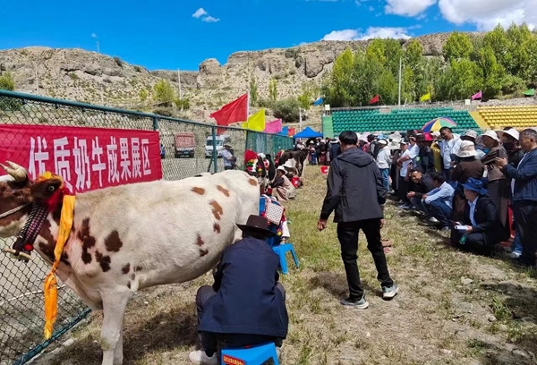 微信图片_20240926170449_副本.jpg