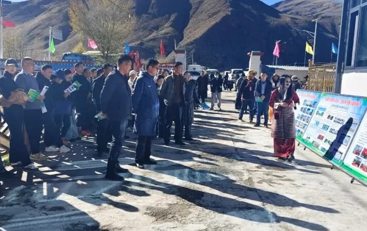 曲松.png 曲松.png