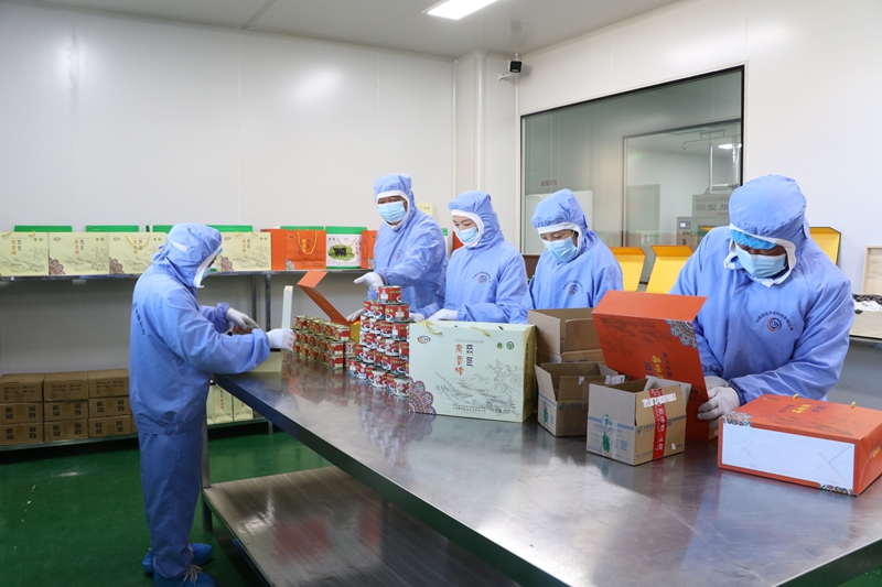 CL7A1873_副本.jpg CL7A1873_副本.jpg