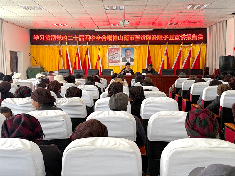 山南市宣讲团赴隆子县宣讲党的二_副本.jpg