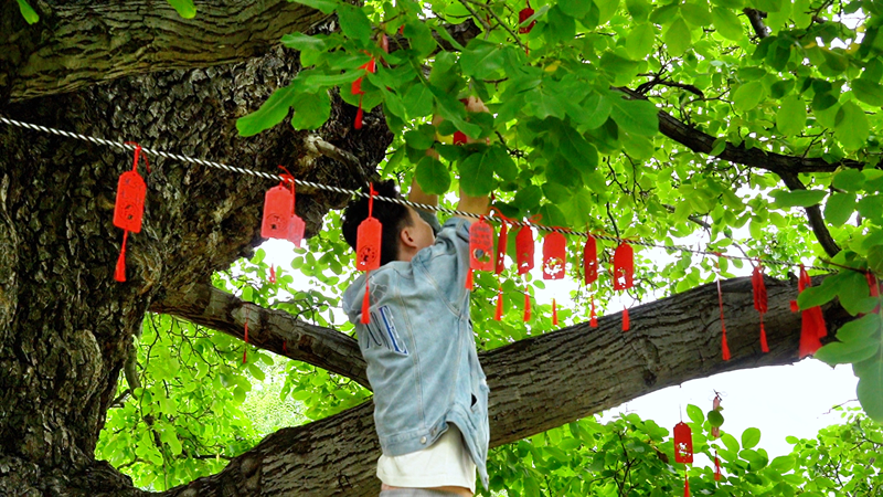 联谊活动现场。 (4)_副本.png