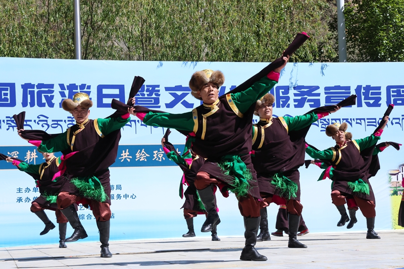 图为活动现场  (13).JPG