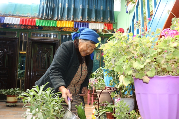 图为昌嘎村村民贡桑曲珍奶奶正在浇花.JPG