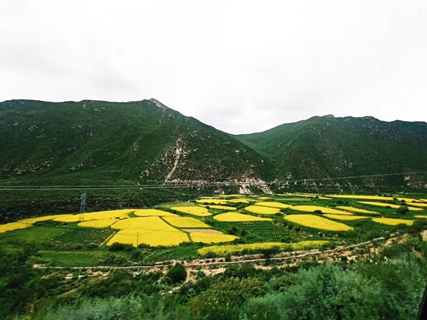 图为美丽的田地。.jpg