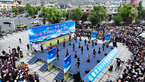 图为全民果谐大赛全景。.jpg