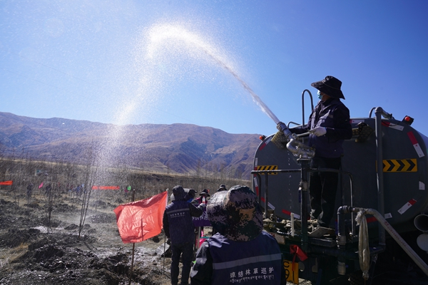 0324琼结县开展2025年全民义务植树活动小记 (5).jpg