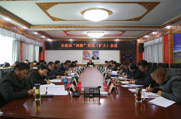 市政协召开“两级”党组（扩大）会议.JPG