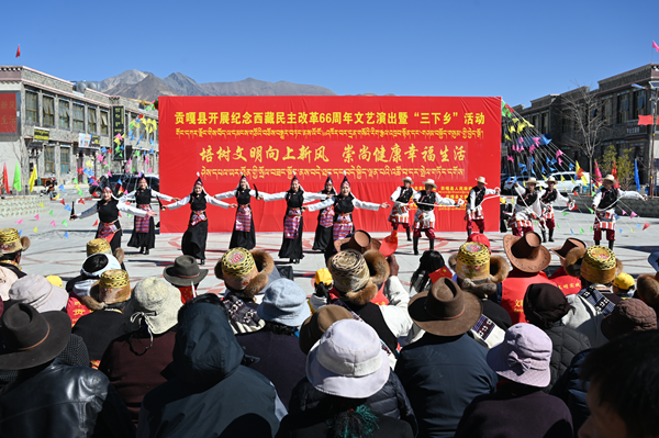 图为贡嘎县艺术团进行文艺演出.png