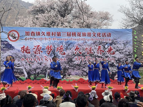 3加查县加查镇第三届桃花旅游文化活动开幕 (1).png