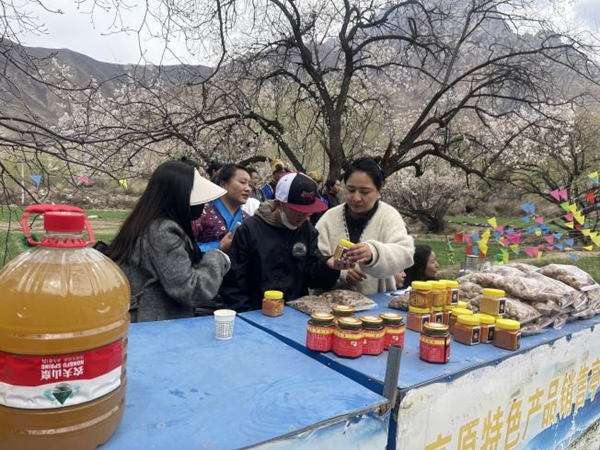 3加查县加查镇第三届桃花旅游文化活动开幕.png