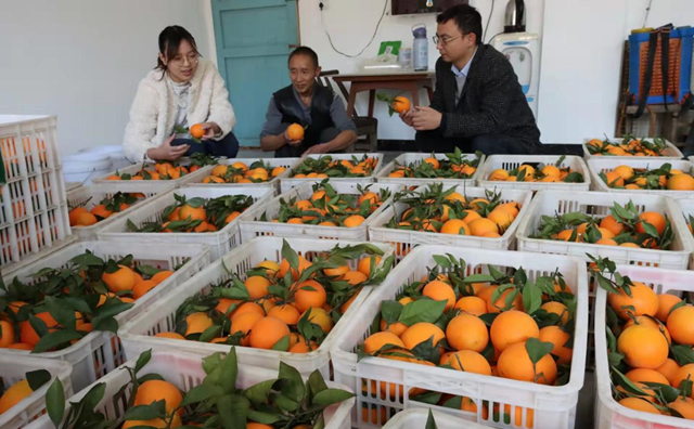 人大代表走访选民为做大做强绿色产业支招。.jpg