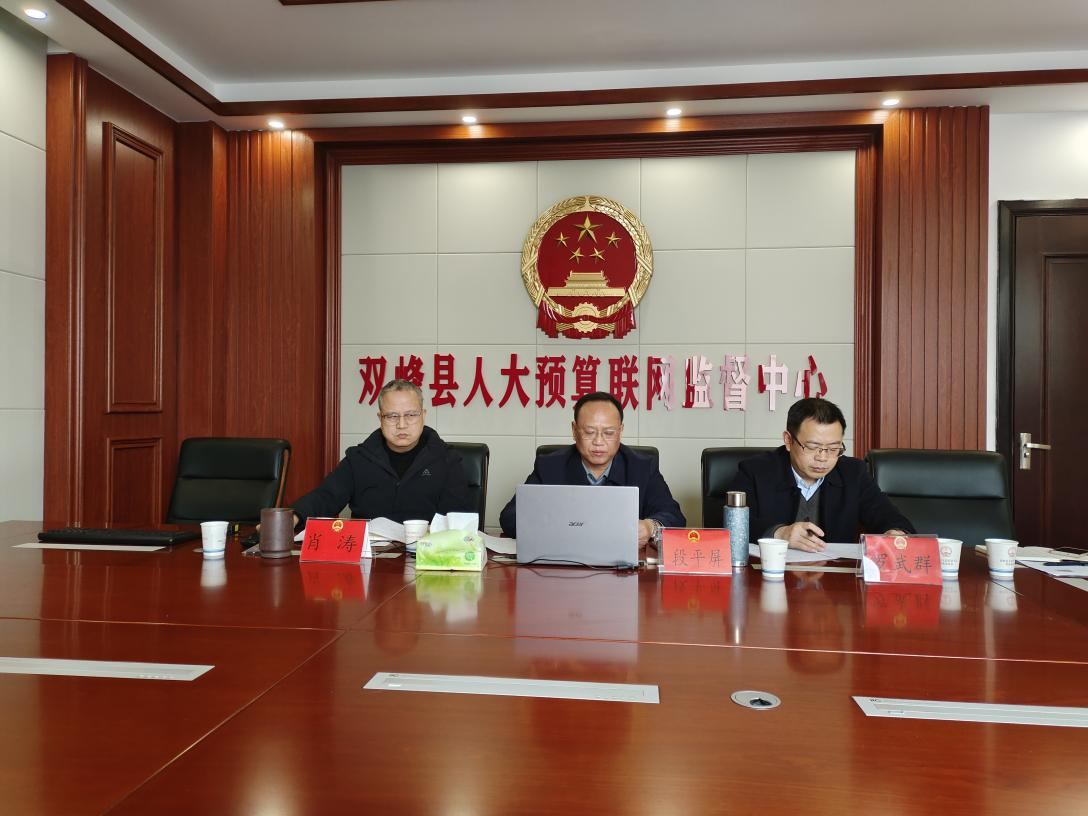 双峰县人大常委会主任段平屏在分会场参加民生事项票决制工作交流视频会并作经验交流。.png
