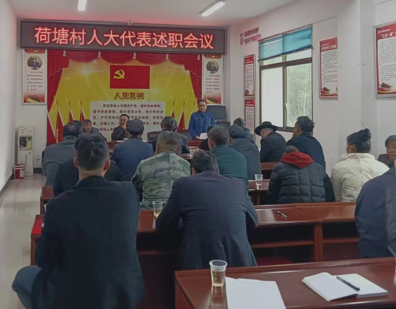荷塘村人大代表述职评议.png
